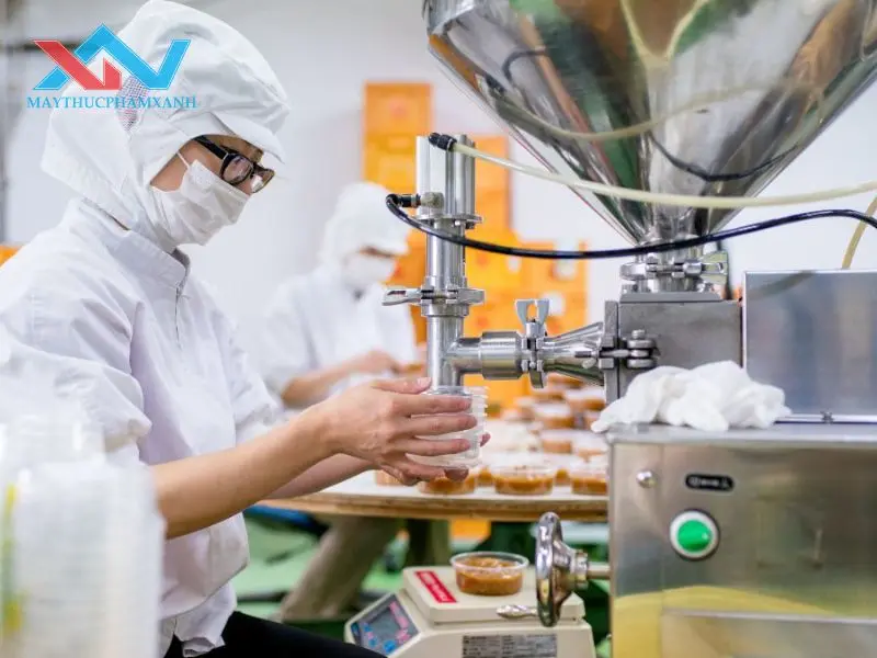máy trộn thịt quận 2