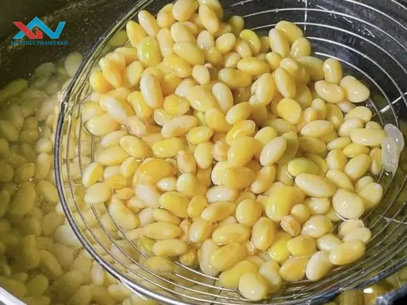 Cách khử mùi tanh đậu nành