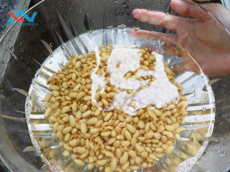 Cách khử mùi tanh đậu nành