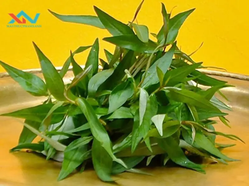 cách làm bánh tráng trộn không cần muối tôm