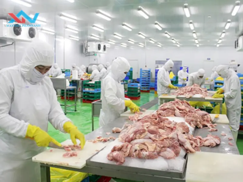 máy trộn thịt quận Bình Tân