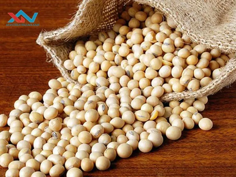 cách làm tàu hủ bằng đậu nành