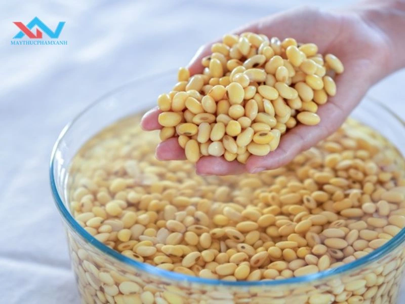 cách bảo quản đậu nành đã ngâm cách bảo quản đậu nành đã ngâm