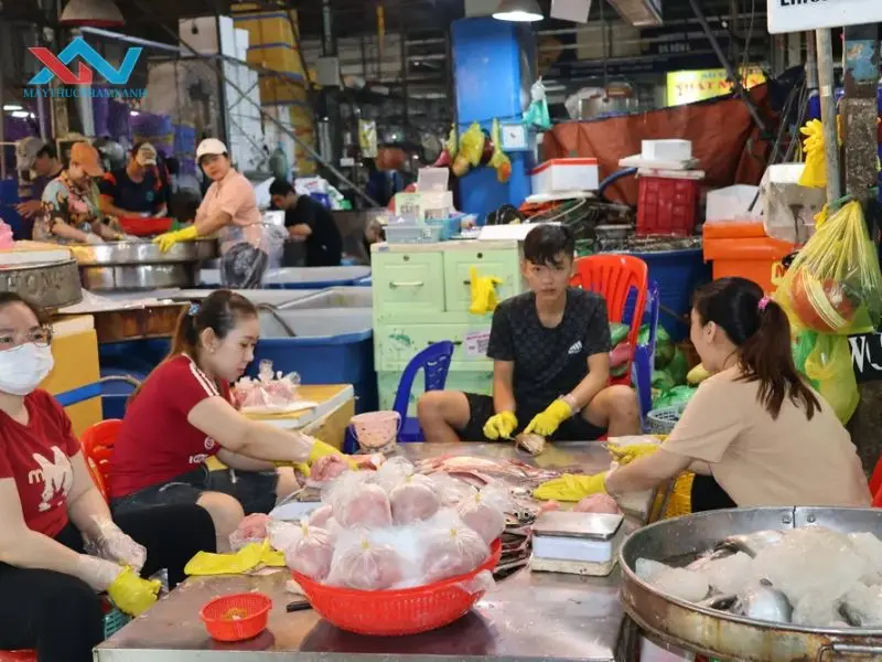 máy quết chả cá chợ Bình Điền máy quết chả cá chợ Bình Điền