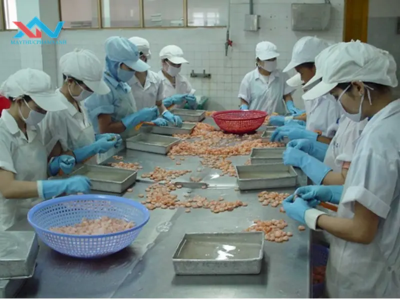máy trộn thịt quận 4 máy trộn thịt quận 4