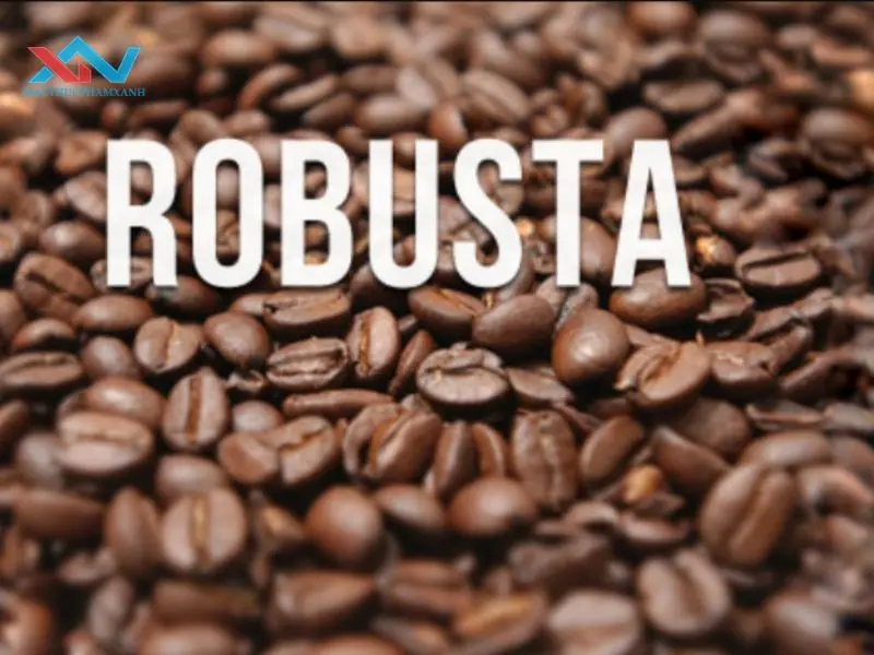 Tìm hiểu cà phê Robusta