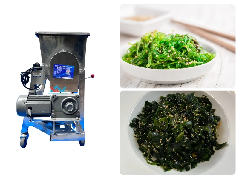 Địa chỉ mua máy trộn rong biển uy tín, giá tốt