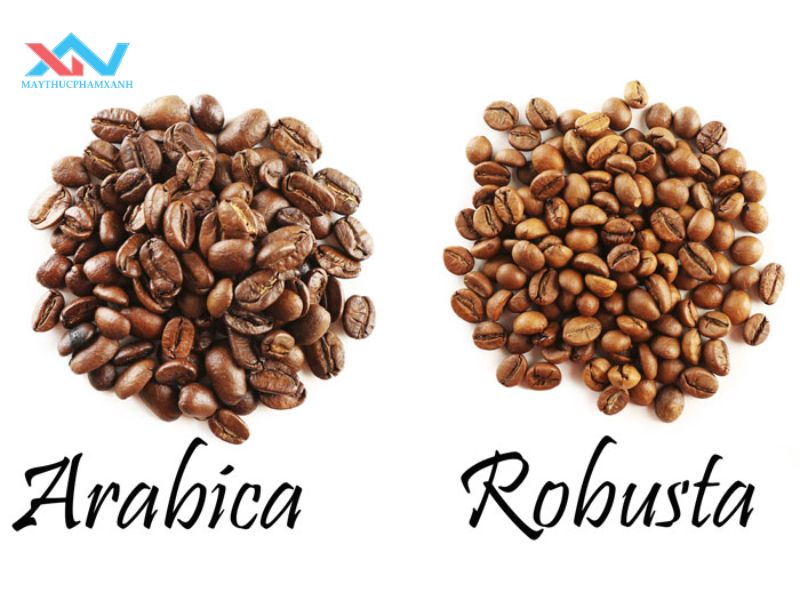 #Tỷ Lệ Trộn Cà Phê Arabica Và Robusta Chuẩn Nhất