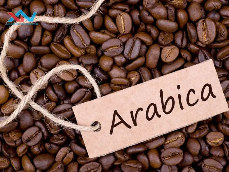 tỷ lệ trộn arabica và robusta