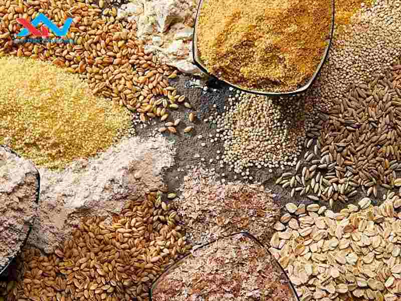#Ứng Dụng Máy Trộn Thức Ăn Gia Súc Nằm Ngang Tăng Hiệu Suất