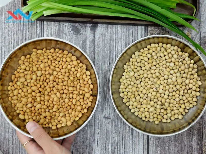 Nguyên nhân gây ra mùi tanh của đậu nành