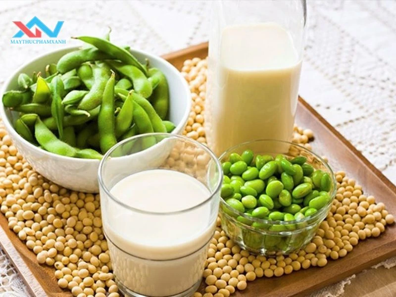 Bảo quản sữa đậu nành tự làm đúng cách