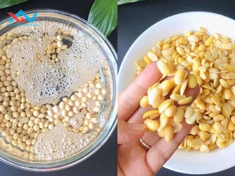 làm sữa đậu nành có cần bỏ vỏ làm sữa đậu nành có cần bỏ vỏ
