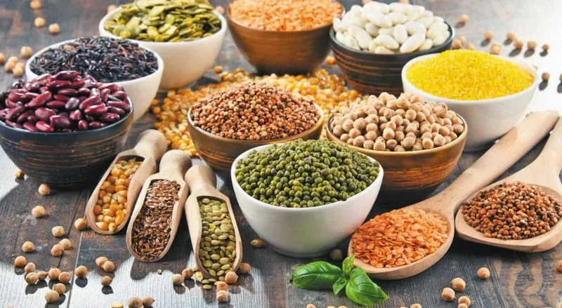 Ứng dụng đa năng của máy trong ngành chế biến thực phẩm