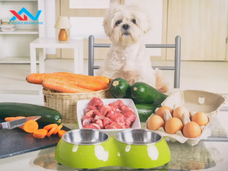máy trộn thực phẩm làm thức ăn thú cưng