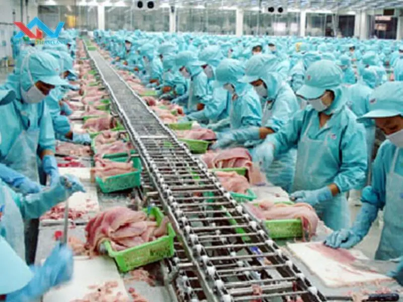 máy trộn thịt quận 9