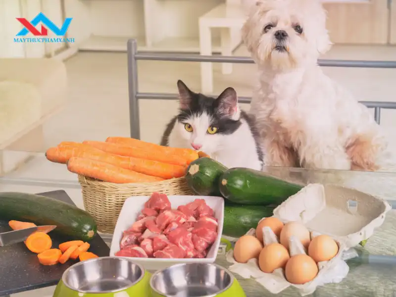 Vệ sinh máy trộn thực phẩm làm thức ăn cho thú cưng sau mỗi lần sử dụng