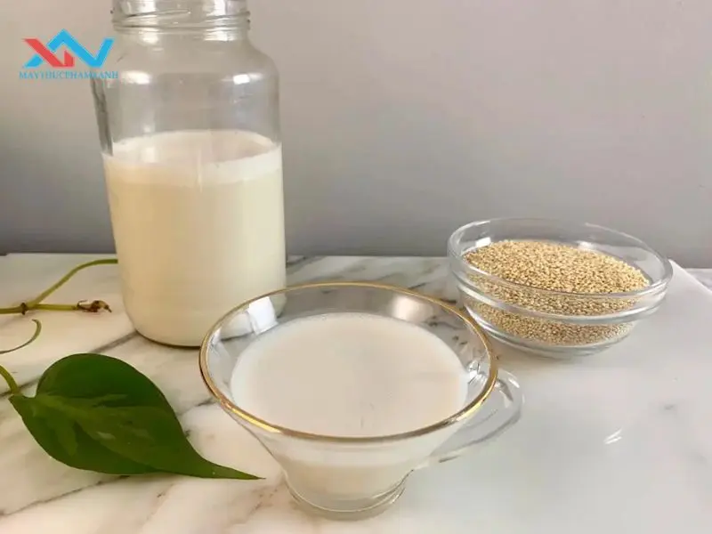 cách làm sữa hạt quinoa