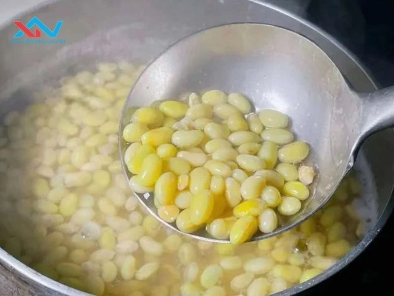 Hướng dẫn các phương pháp bóc vỏ đậu nành hiệu quả Hướng dẫn các phương pháp bóc vỏ đậu nành hiệu quả