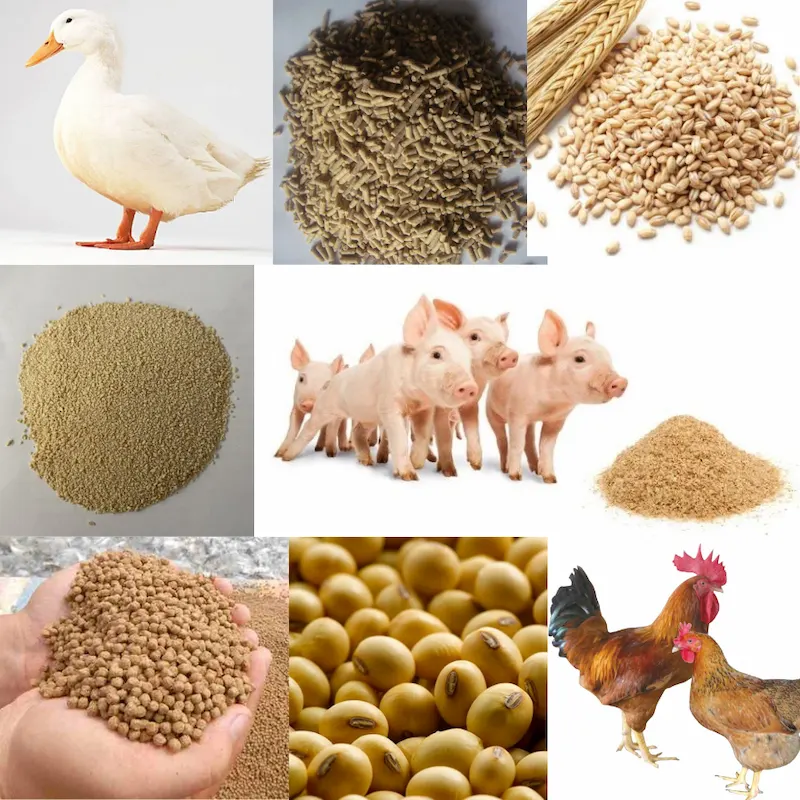Ứng dụng đa năng của máy trong chăn nuôi và thực phẩm