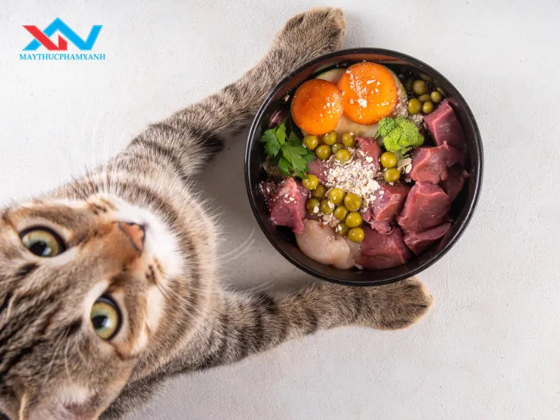 máy trộn thực phẩm làm thức ăn thú cưng