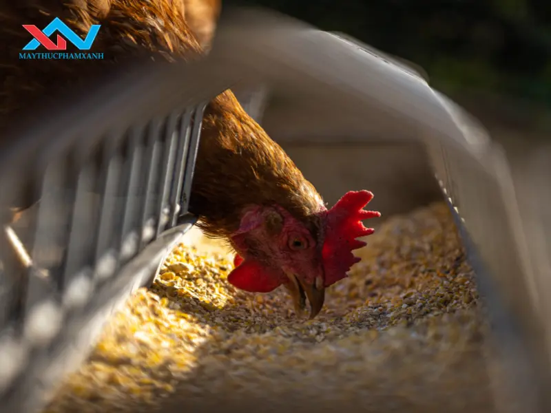 máy trộn thức ăn gia súc nằm ngang