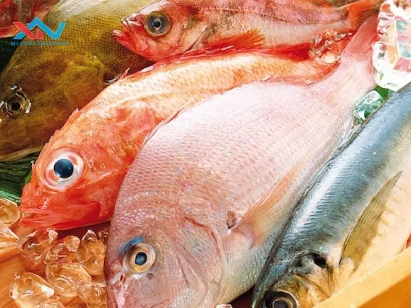 cách chọn cá làm chả