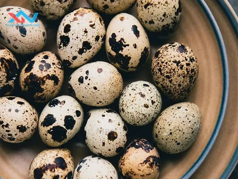 cách làm bánh tráng bò khô